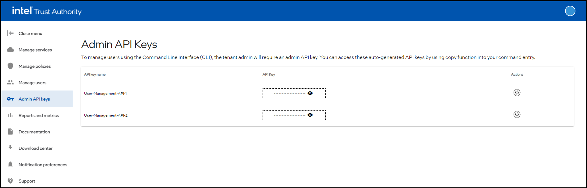 Admin API keys
