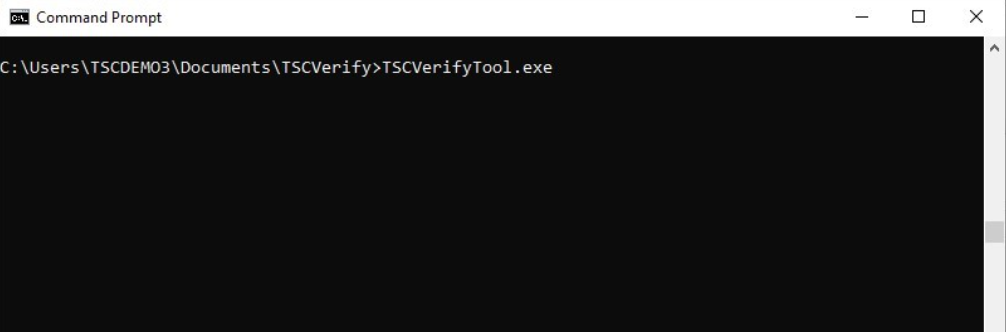 A graphic of the command to start the TSC executable.